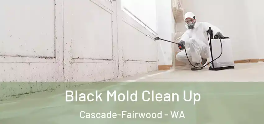  Black Mold Clean Up Cascade-Fairwood - WA