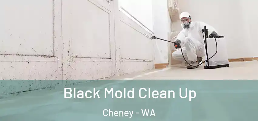  Black Mold Clean Up Cheney - WA