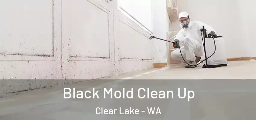  Black Mold Clean Up Clear Lake - WA