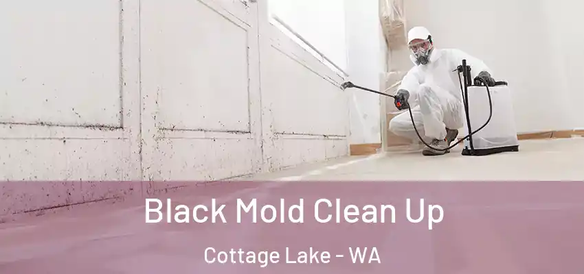  Black Mold Clean Up Cottage Lake - WA