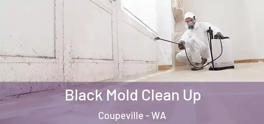  Black Mold Clean Up Coupeville - WA