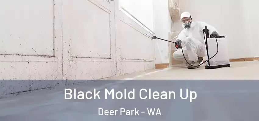  Black Mold Clean Up Deer Park - WA