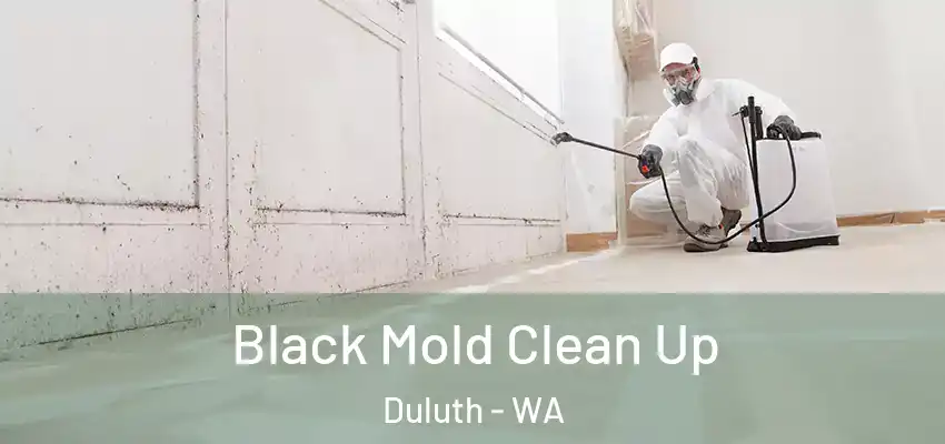  Black Mold Clean Up Duluth - WA
