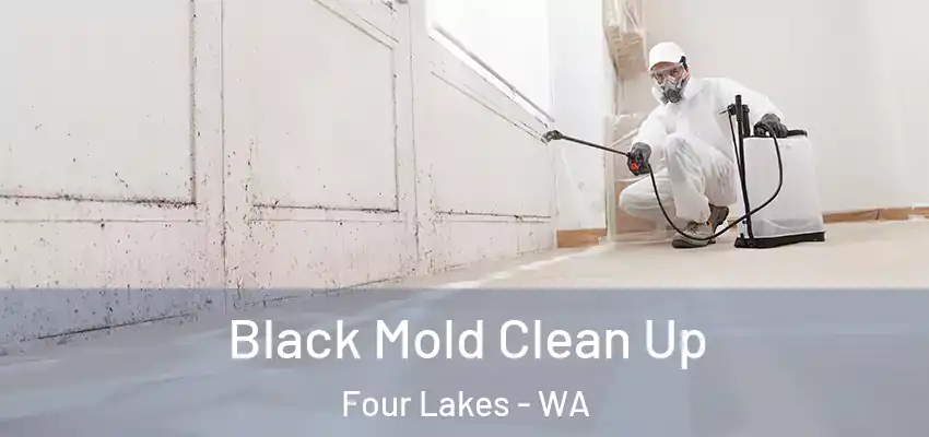  Black Mold Clean Up Four Lakes - WA