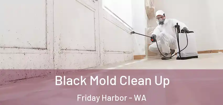  Black Mold Clean Up Friday Harbor - WA