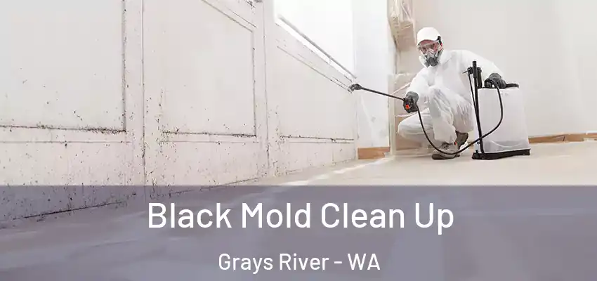 Black Mold Clean Up Grays River - WA