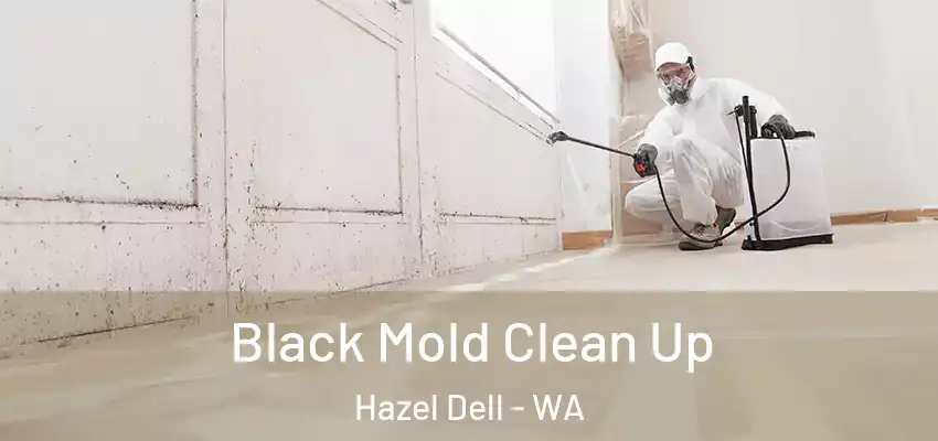 Black Mold Clean Up Hazel Dell - WA