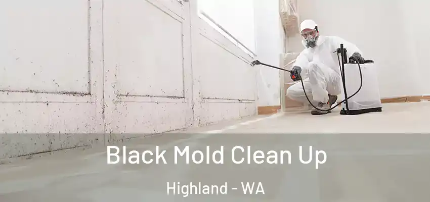  Black Mold Clean Up Highland - WA