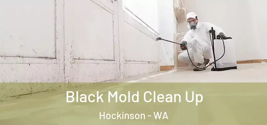  Black Mold Clean Up Hockinson - WA