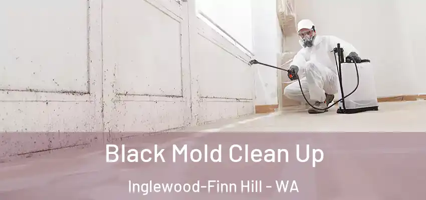  Black Mold Clean Up Inglewood-Finn Hill - WA