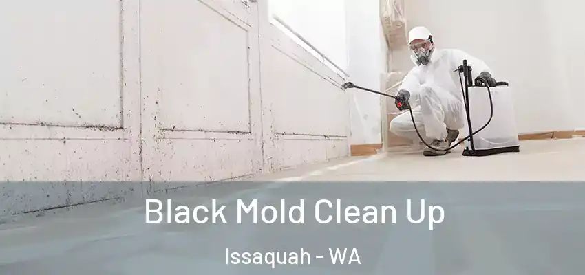 Black Mold Clean Up Issaquah - WA