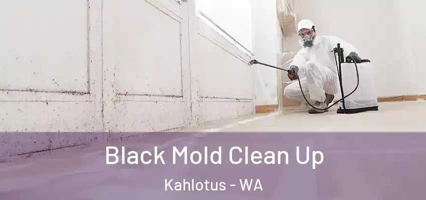  Black Mold Clean Up Kahlotus - WA
