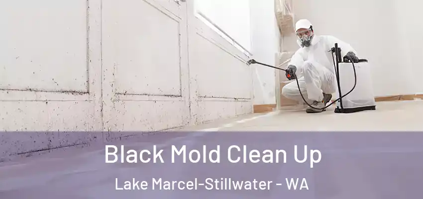  Black Mold Clean Up Lake Marcel-Stillwater - WA
