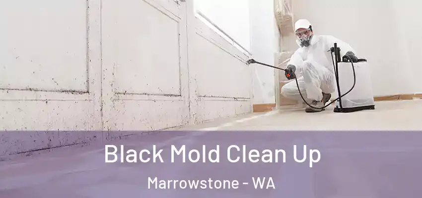  Black Mold Clean Up Marrowstone - WA
