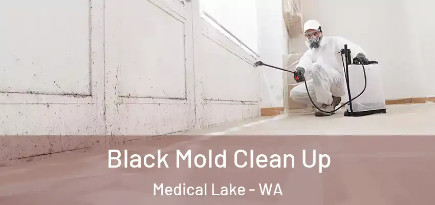 Black Mold Clean Up Medical Lake - WA