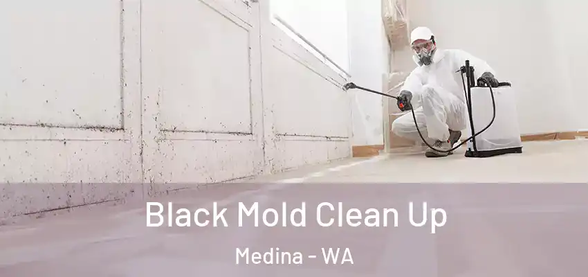  Black Mold Clean Up Medina - WA