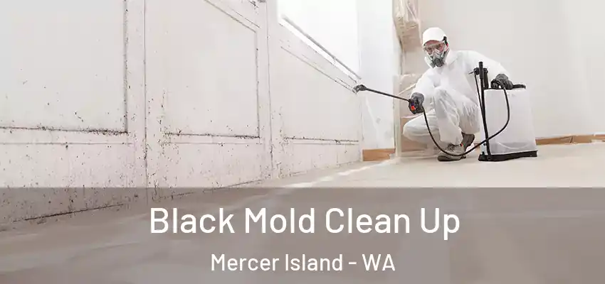  Black Mold Clean Up Mercer Island - WA