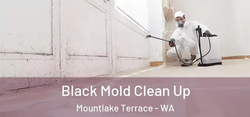  Black Mold Clean Up Mountlake Terrace - WA