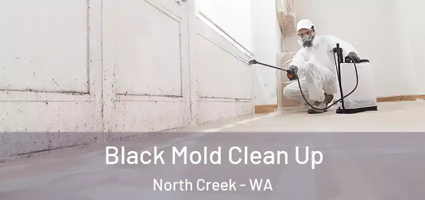  Black Mold Clean Up North Creek - WA