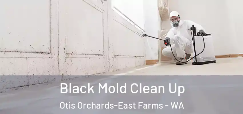  Black Mold Clean Up Otis Orchards-East Farms - WA