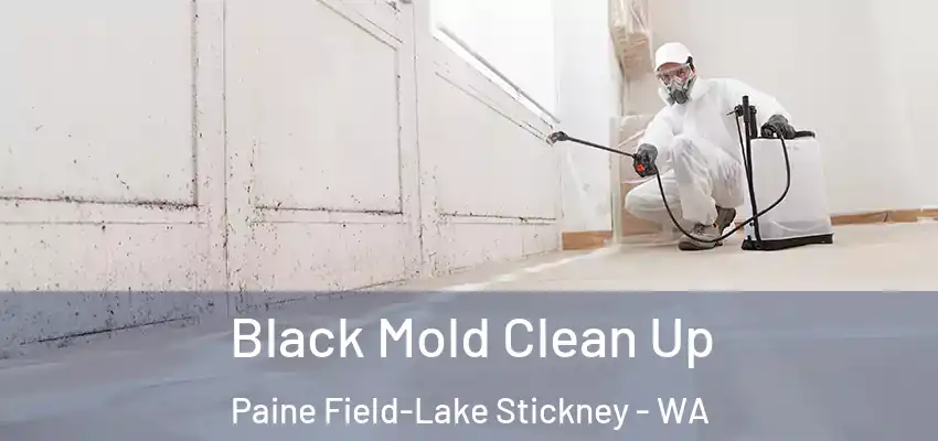  Black Mold Clean Up Paine Field-Lake Stickney - WA