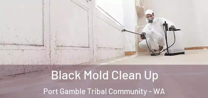  Black Mold Clean Up Port Gamble Tribal Community - WA