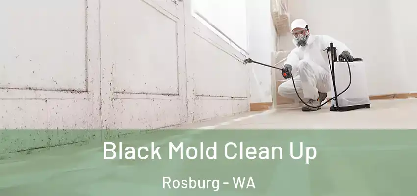  Black Mold Clean Up Rosburg - WA
