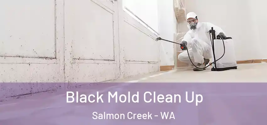  Black Mold Clean Up Salmon Creek - WA