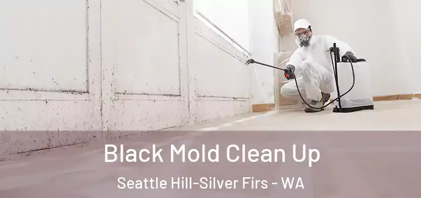  Black Mold Clean Up Seattle Hill-Silver Firs - WA