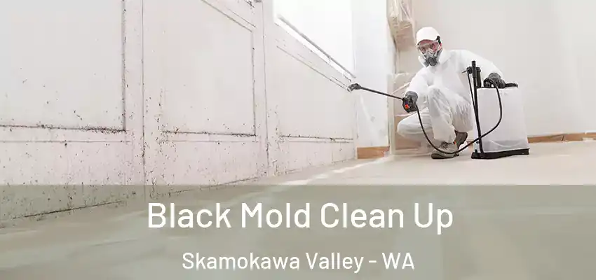  Black Mold Clean Up Skamokawa Valley - WA