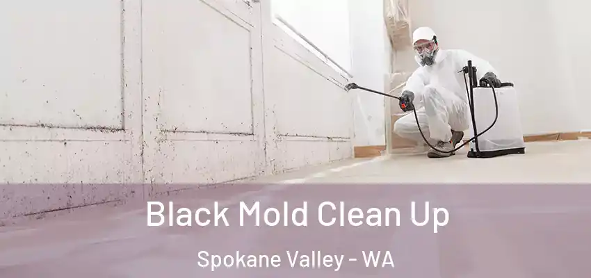  Black Mold Clean Up Spokane Valley - WA