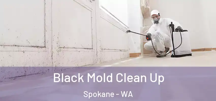  Black Mold Clean Up Spokane - WA