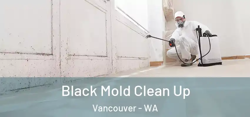  Black Mold Clean Up Vancouver - WA