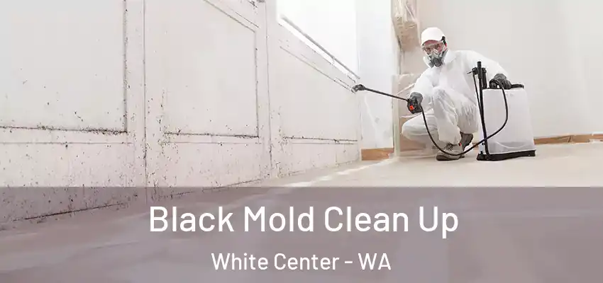  Black Mold Clean Up White Center - WA