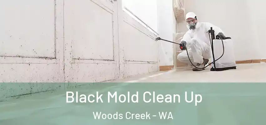  Black Mold Clean Up Woods Creek - WA