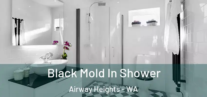  Black Mold In Shower Airway Heights - WA
