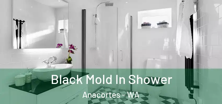  Black Mold In Shower Anacortes - WA
