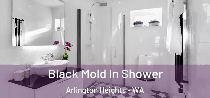  Black Mold In Shower Arlington Heights - WA