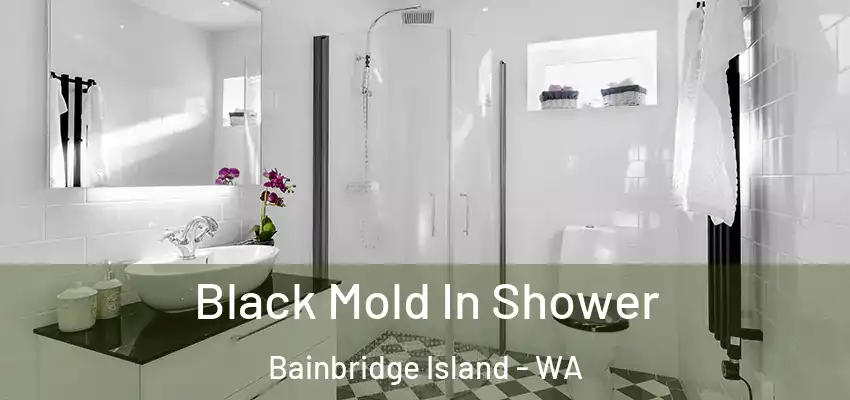  Black Mold In Shower Bainbridge Island - WA