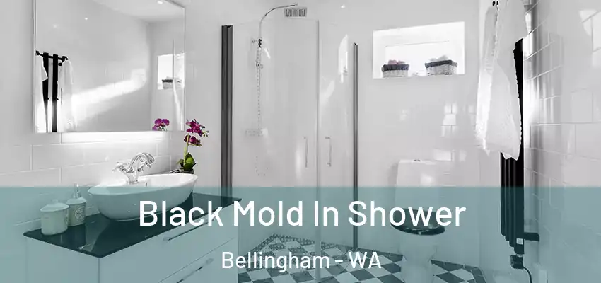  Black Mold In Shower Bellingham - WA