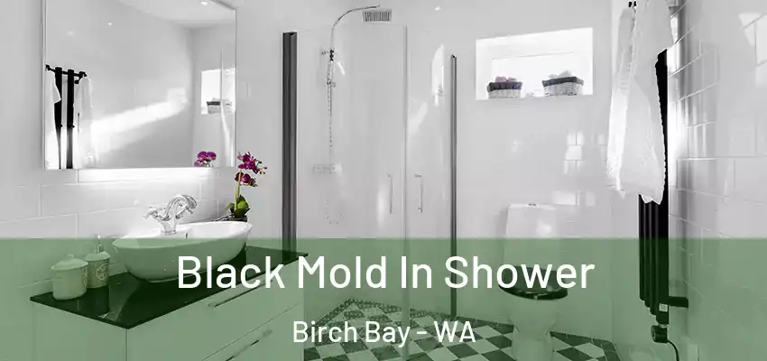 Black Mold In Shower Birch Bay - WA