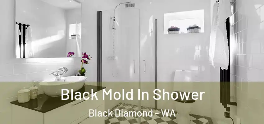  Black Mold In Shower Black Diamond - WA