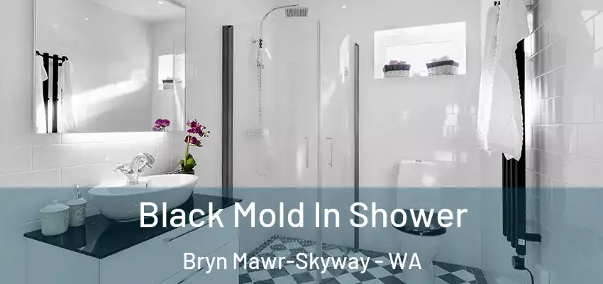  Black Mold In Shower Bryn Mawr-Skyway - WA