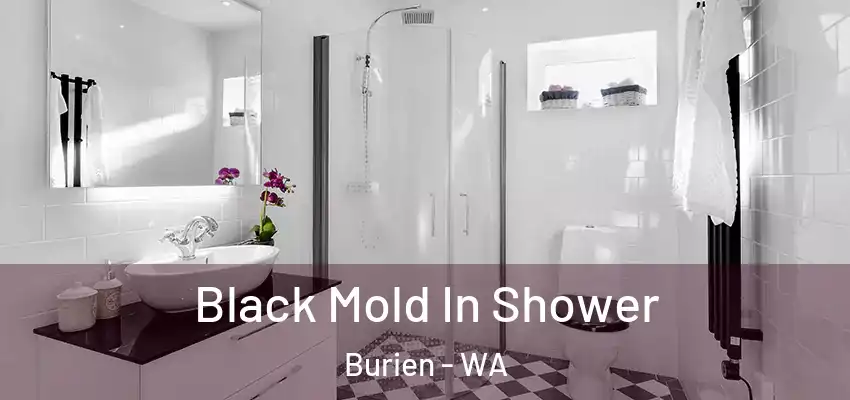  Black Mold In Shower Burien - WA