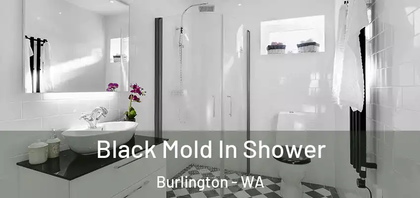  Black Mold In Shower Burlington - WA