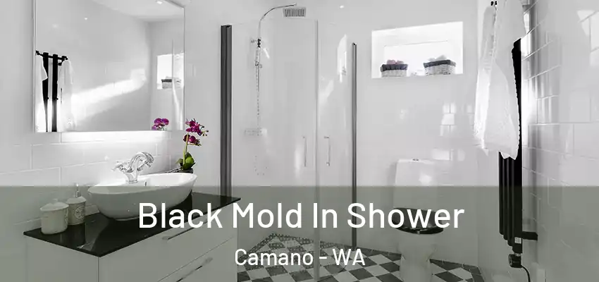  Black Mold In Shower Camano - WA
