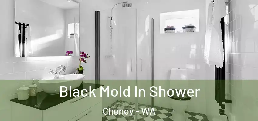 Black Mold In Shower Cheney - WA