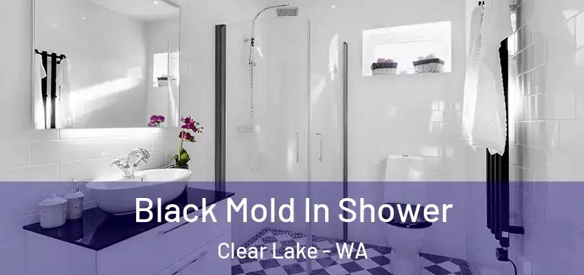  Black Mold In Shower Clear Lake - WA