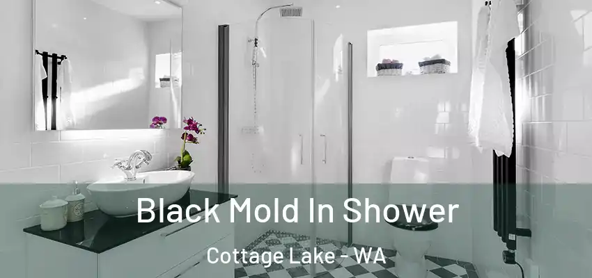  Black Mold In Shower Cottage Lake - WA