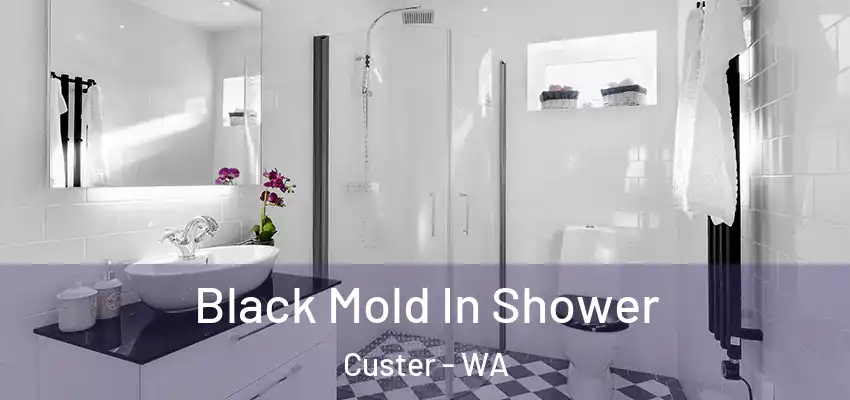  Black Mold In Shower Custer - WA